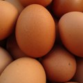 Jaja u Hrvatskoj uvjerljivo najskuplja u EU