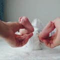 Lepe vesti iz Kragujevca – stigle nove bebe