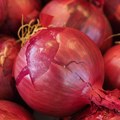 Geni otkrivaju vezu između ljubavi prema luku i manjeg rizika od bolesti