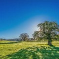 Sunčano i toplo u Srbiji, temperatura do 33 stepena