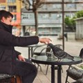 Pomilovanje – izvestan početak i mogući kraj