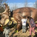 Dinosaurusi iz Srbije "pokorili" Crnu Goru FOTO