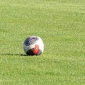 Vojvodina poklekla pred šampionom