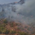 Komadir Službe zaštite: Pod kontrolom požar u delu Pipera