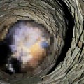 Poznato ko je otrovao, pa bacio pse u bunar kod Aleksinca: Oglasila se policija, podneće krivičnu prijavu