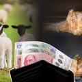 U novosadskim mesarama kilogram jagnjetine do 1.500 dinara Jaganjci ovčarima donose dobru zaradu, potražnja ne jenjava evo…