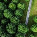 Naslovne strane za nedelju, 14. jun 2026. godine