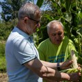 Glamočić obišao gazdinstvo Radisavljevića: Očekuje se dobar rod suncokreta, kukuruzu treba kiša