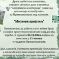 Iz prihvatilišta „Zoohigijene”: Tokom septembra udomljeno 30 pasa, 215 od početka godine
