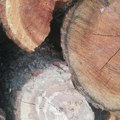 Da zima bude topla, ukućani zdravi, a sto pun! Ispoštujte ovaj stari običaj pre nego što unesete drva u kuću! Besparica…