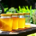 Potrošači u Srbiji znaće da li kupuju pravi med, uskoro javno objavljivanje falsifikata
