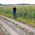 Milinko je uzeo napušteno imanje, orezao i okrečio voćke, a onda se pojavio vlasnik: "Bilo je reč na reč, tako sam i…