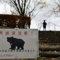 Medvedi ponovo prete severoistoku Japana