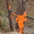 (Video) Vatra iz zemlje: Kod Novog Sada probijena gasna cev, vatrogasci na terenu