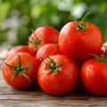 Paradajz leteo na sve strane: Više od 20.000 ljudi učestvovalo u Tomatini