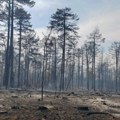 Ukinuta vanredna situacija: Požar u Deliblatskoj peščari lokalizovan, naselja oko Bele Crkve bezbedna