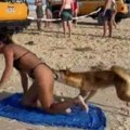Nije ni jul, a već imamo najsmešniji video sa plaža: U glavnim ulogama – Kupačica u bikiniju i jedan jako bezobrazan pas