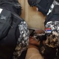 Uhapšeno pet lekara i sedam farmaceuta neki iz Kragujevca: Prepisivali lekove za rast, pa ih prodavali