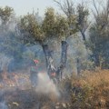 Gruzijka uhapšena u Grčkoj zbog izazivanja požara