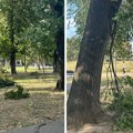 Oluja protutnjala Beogradom: Pogledajte stanje na ulicama, nevreme oborilo drveće na više od 50 lokacija (Foto)