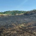 (Foto/video) Gorela livada u Karlovcima nadomak kuća, vatra brzo savladana