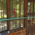 U toku rušenje sedam vikendica na Gazivodama, na terenu teška mehanizacija