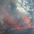 Požari i u centralnoj Srbiji: Gori u okolini Paraćina, temperatura dostigla skoro 40