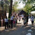 Stigao novi stanovnik Palićkog zoološkog vrta: Najbolji prijatelj joj je tapir Ištvan, doselila se direktno iz Mađarske