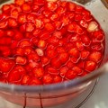 Domaćice pišite recept: Samo tri sastojka za kolač koji se topi u ustima, a ne peče se