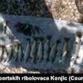 Мртва риба и мирис сумпора шире се Неретвом испод хидроелектране