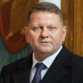 Zalužni opet piše i komentariše