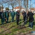 Počela druga faza rekonstrukcije Karađorđevog parka – zasađeno 180 novih sadnica