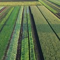 U Zrenjaninu dva javna poziva za poljoprivrednike: Ukupna sredstva iznose šest miliona dinara