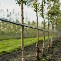 Za nabavku opreme i sistema za navodnjavanje u Vojvodini 450 miliona dinara