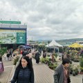 Kragujevac: Sledeće nedelje počinje Sajam hortikulture
