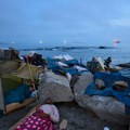 Najmanje 139 migranata stradalo, a 84 se vode kao nestali nakon brodoloma kod obale Džibutija