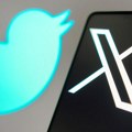 Društvene mreže i Tviter: Da li je Ilon Mask u pravu što se rešio plave ptičice