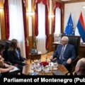 Krivična prijava crnogorske opozicije protiv Mandića zbog trobojke u parlamentu