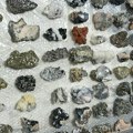 Neobična zaplena na Horgošu: Policija sprečila krijumčarenje 63 minerala