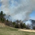 (FOTO) Požar na Zlatiboru lokalizovan: Gorele livade i nisko rastinje