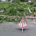 Nevreme oborilo drveće na automobile: Evo da li vozači mogu da naplate štetu