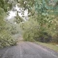 Čitaoci javljaju: Zvaničnici u Crnoj Travi tvrde da su svi putevi očišćeni a putevi neprohodni i sedam dana nema struje