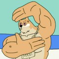 Elon Musk i dalje smatra da je Doge kralj - ali ovaj novi „nabuđeni“ pas pokazuje pravu snagu i energiju