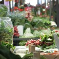 Hrvati u neverici: Cena ovog letnjeg povrća obara rekorde na pijacama