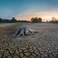 Žedno leto na jugu Srbije: Da li ulazimo u hidrološku sušu ili je ovo samo uobičajen pad vodostaja?