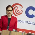 Devet kandidata sa juga Srbije na izbornoj listi koalicije „Evropska Srbija“