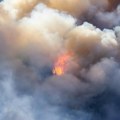 Šuma, livade i voćnjaci u plamenu Ponovo bukte požari kod Niša, Aleksinca i Bele Palanke: Veliki broj vatrogasaca na licu mesta…