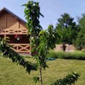 Наша водитељка овде проводи пензионерске дане: Била велика ТВ звезда, а сада су јој примања 53.000 динара ФОТО