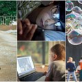 Istraživanje psihologa otkrilo šokantnu istinu Deca bi manje bila onlajn kada bi imala ovo