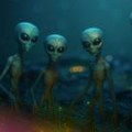 24 сата лудила на сајту српске фирме